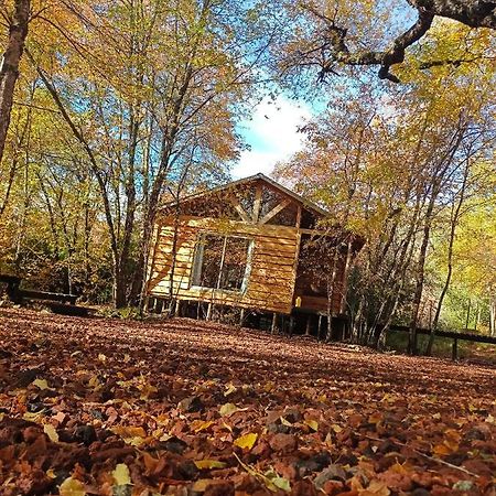Cabanas Huilipan Лас Транкас Екстериор снимка