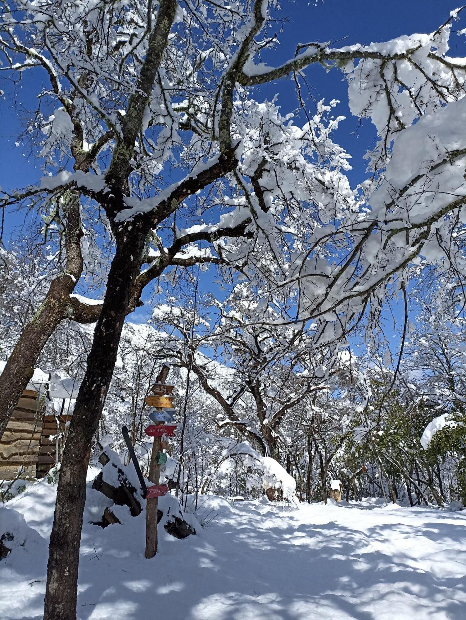 Cabanas Huilipan Лас Транкас Екстериор снимка